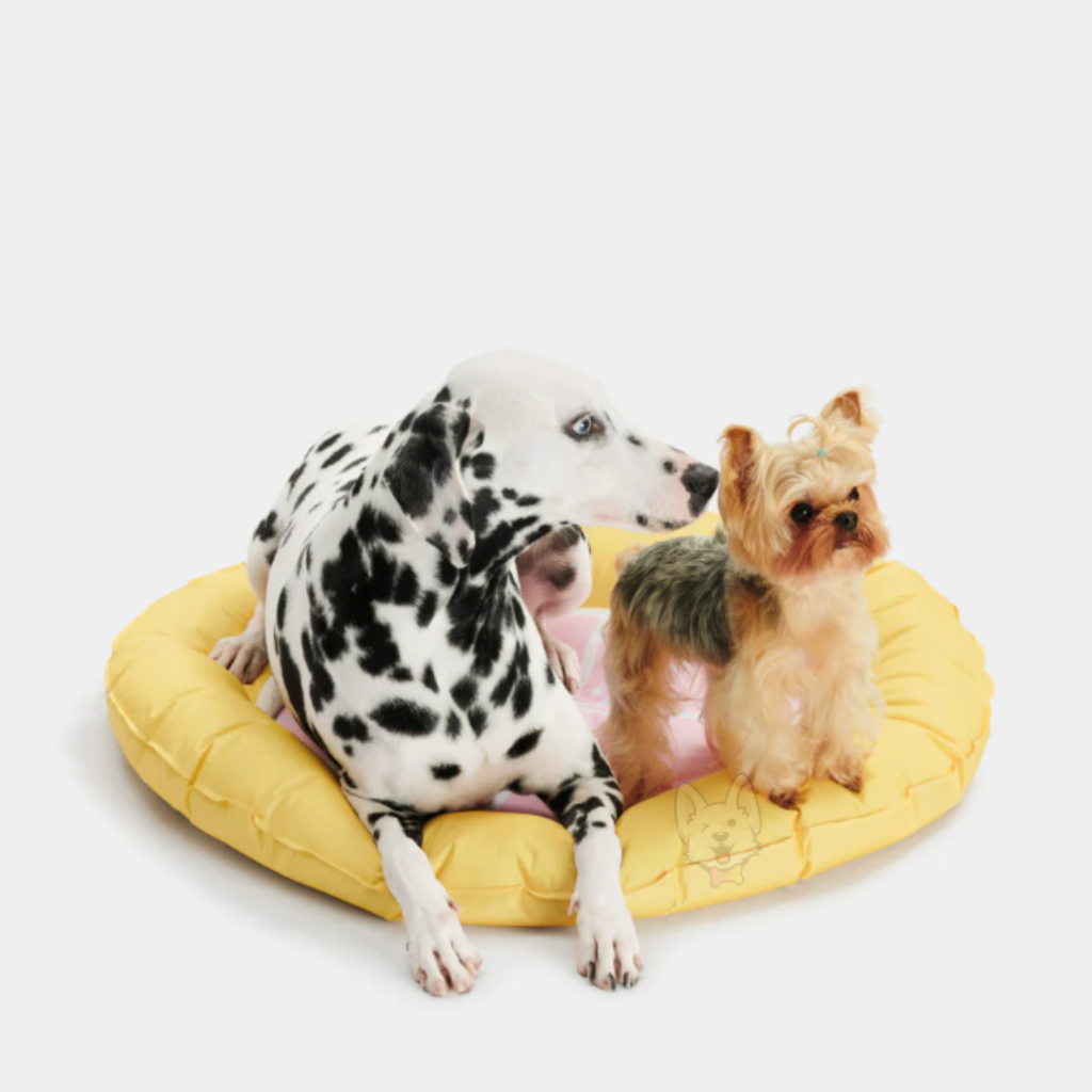 Grapefruit Cooling Mat Wallpaper Gelado Vetreska