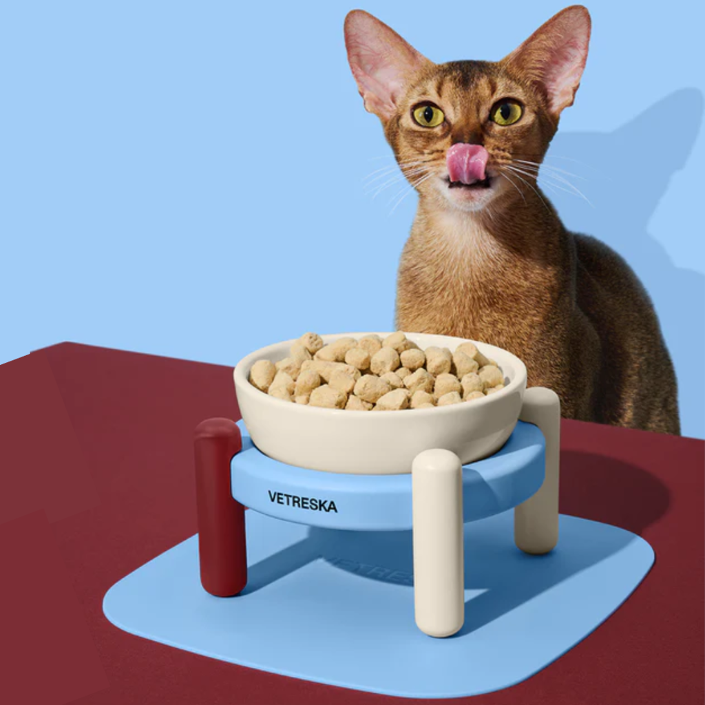 Vetreska Mist and Merlot Ceramic Bowl for Pets