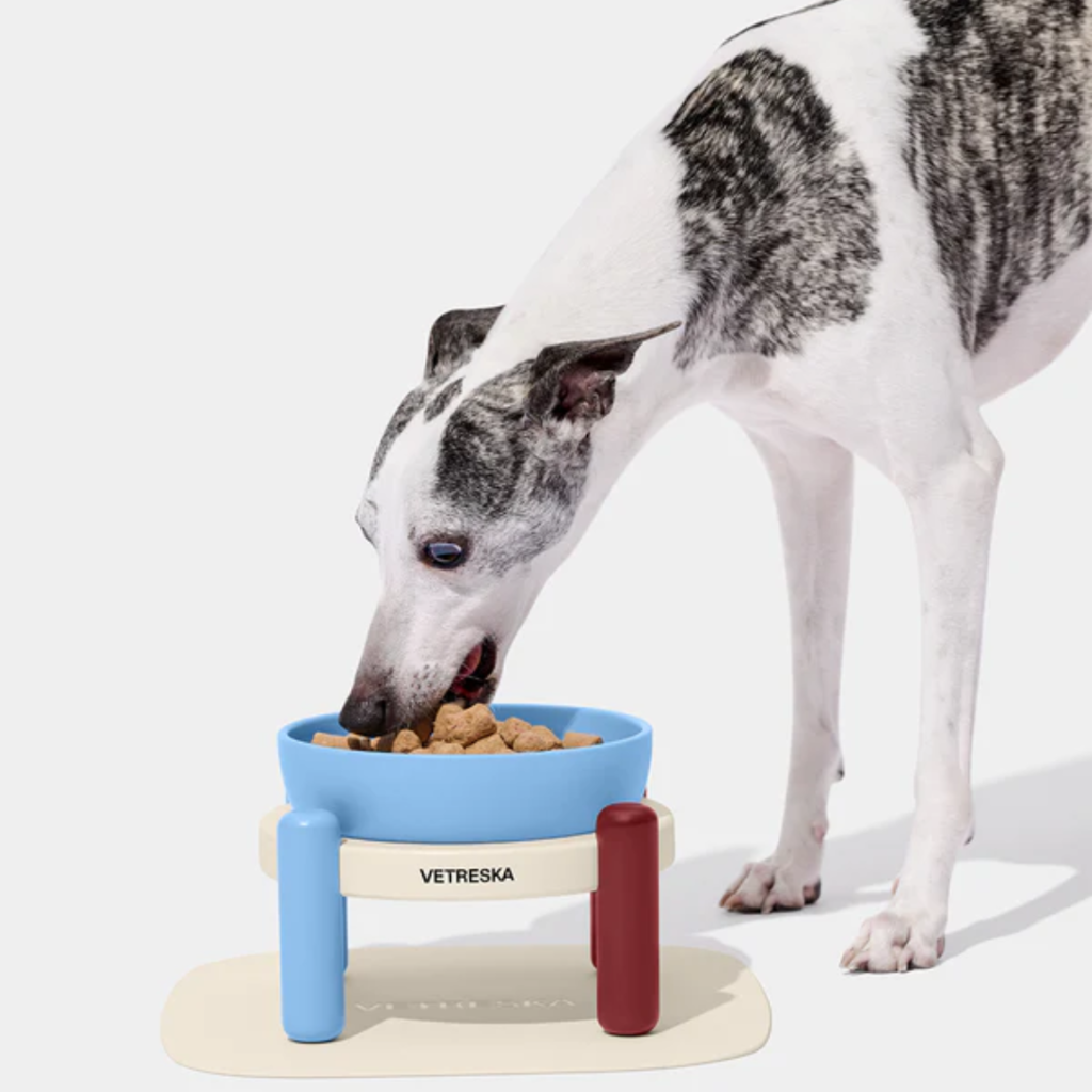 Vetreska Mist and Merlot Ceramic Bowl for Pets