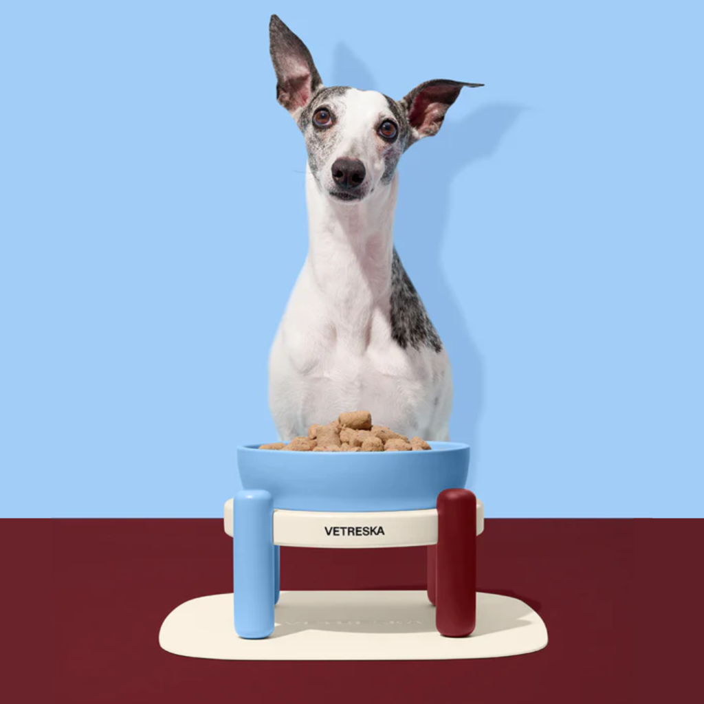 Vetreska Mist and Merlot Ceramic Bowl for Pets