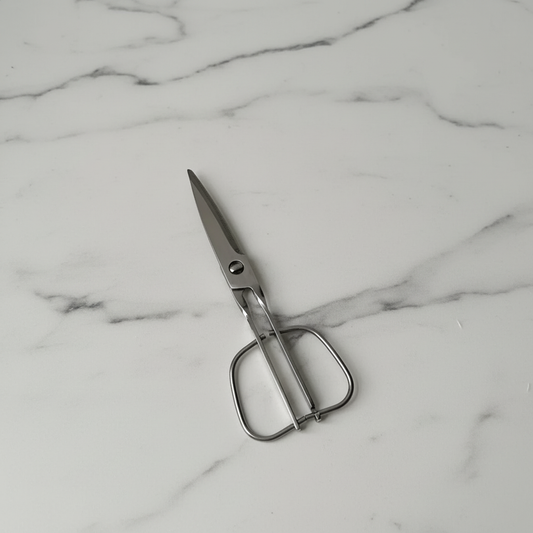 Detachable Scissors