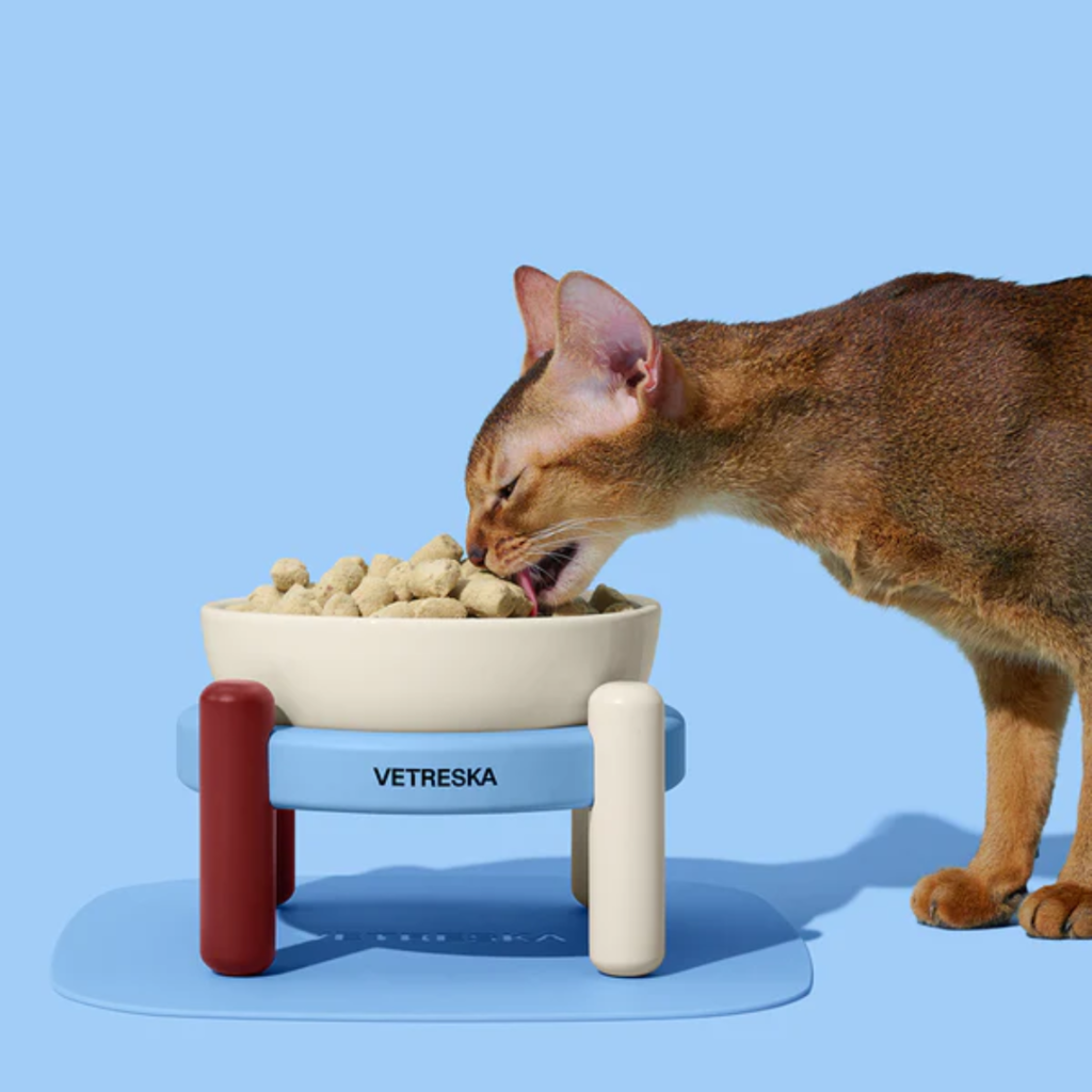 Vetreska Mist and Merlot Ceramic Bowl for Pets