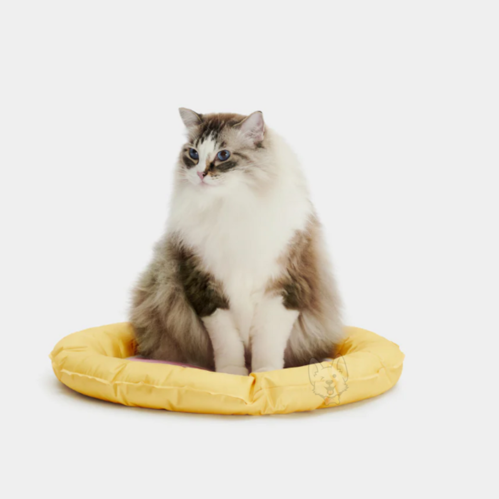 Grapefruit Cooling Mat Wallpaper Gelado Vetreska