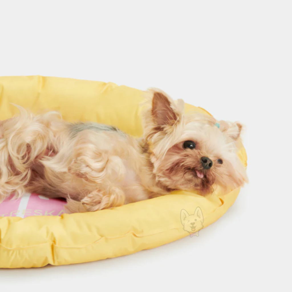 Grapefruit Cooling Mat Wallpaper Gelado Vetreska