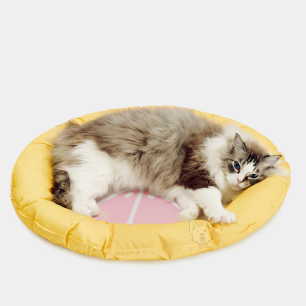 Grapefruit Cooling Mat Wallpaper Gelado Vetreska