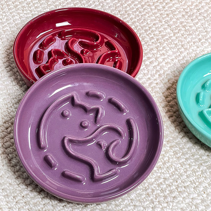 Cat & Dog Side Profile Slow Feeder Bowl