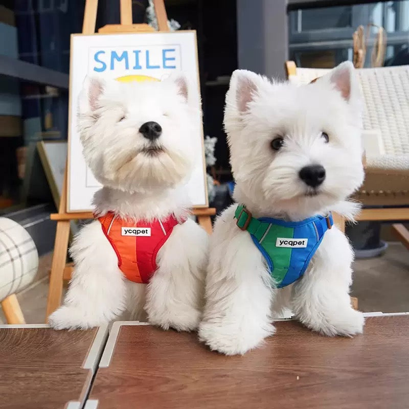 Reflective Vest-Style Harness Leash for Small Dogs