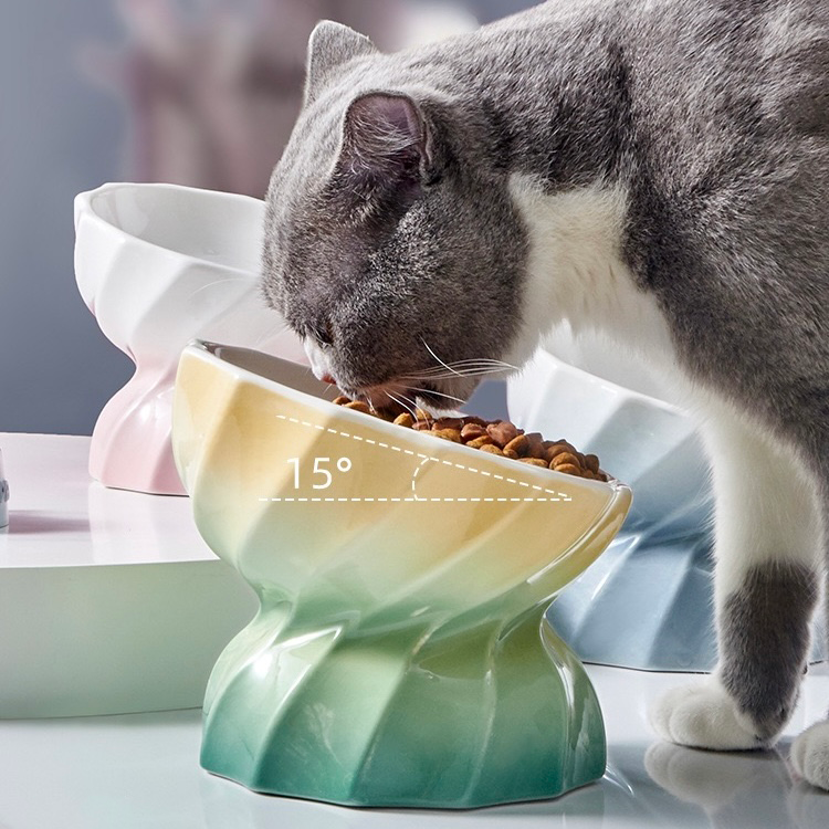 Candy-Colored Tilted Elevated Pet Bowl