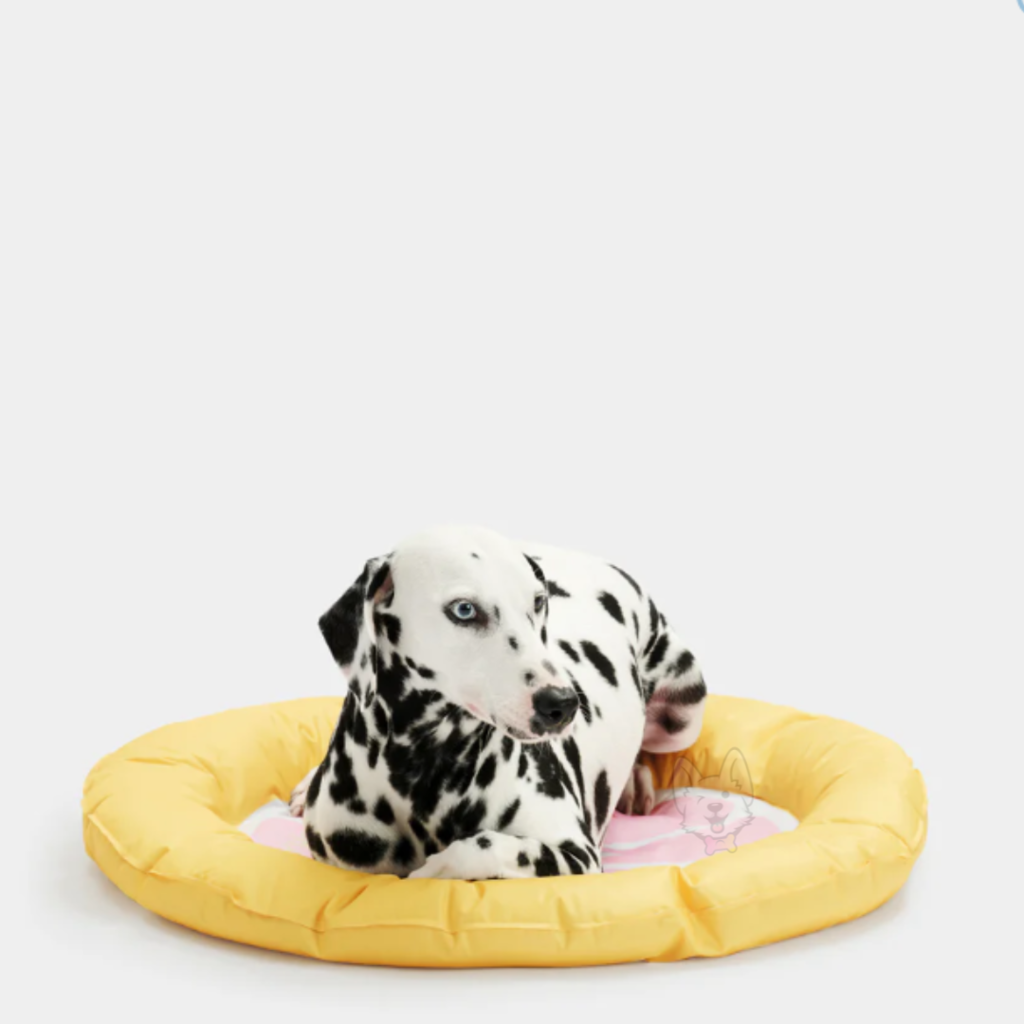 Grapefruit Cooling Mat Wallpaper Gelado Vetreska