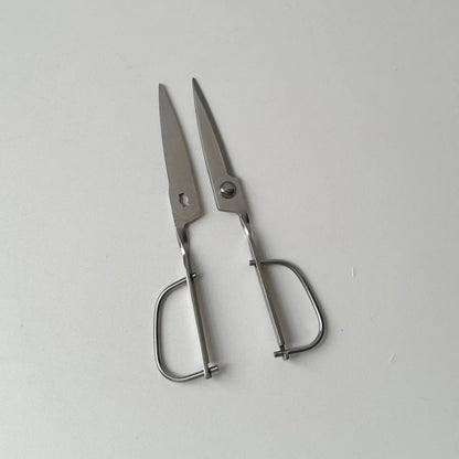 Detachable Scissors