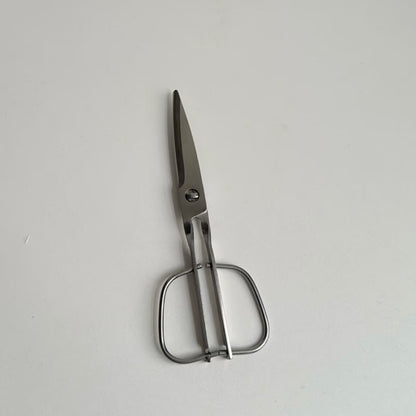 Detachable Scissors