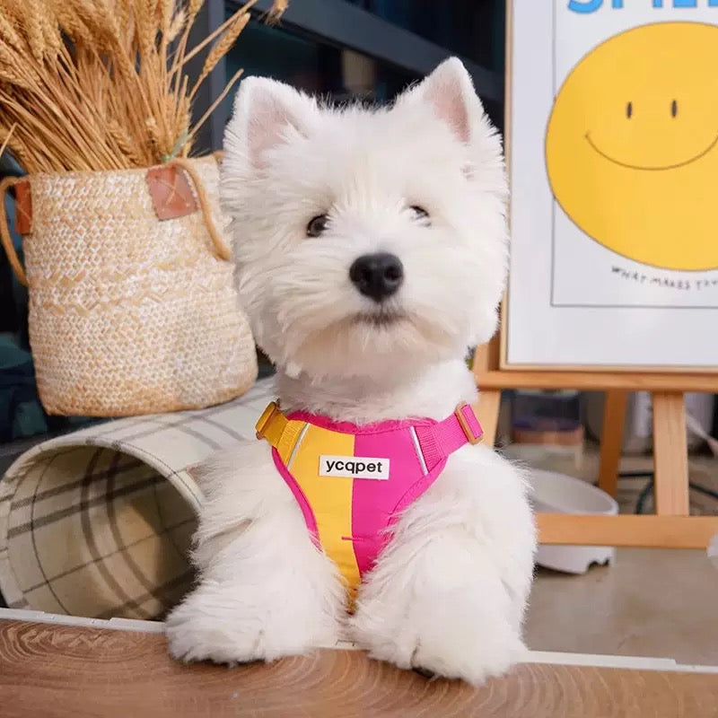 Reflective Vest-Style Harness Leash for Small Dogs