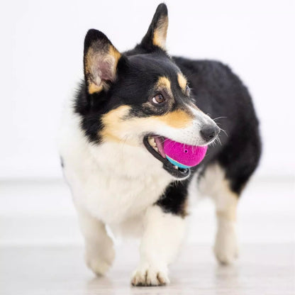 GiGwi Squeaky Ball Dog Toy