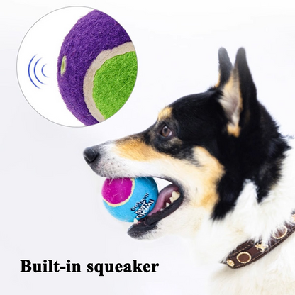 GiGwi Squeaky Ball Dog Toy