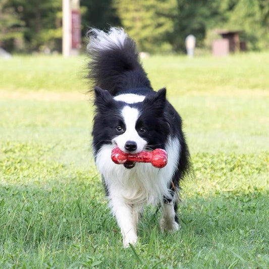 GiGwi Meaty Bone Dog Toy