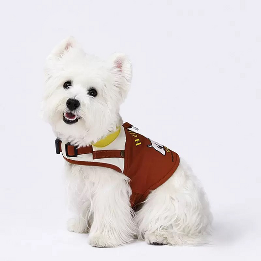 HOOPET Vest-Style Dog Harness and Leash Set