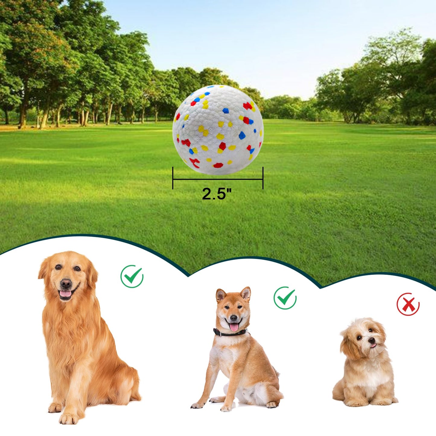 Toy Balls for Large and Medium Dogs