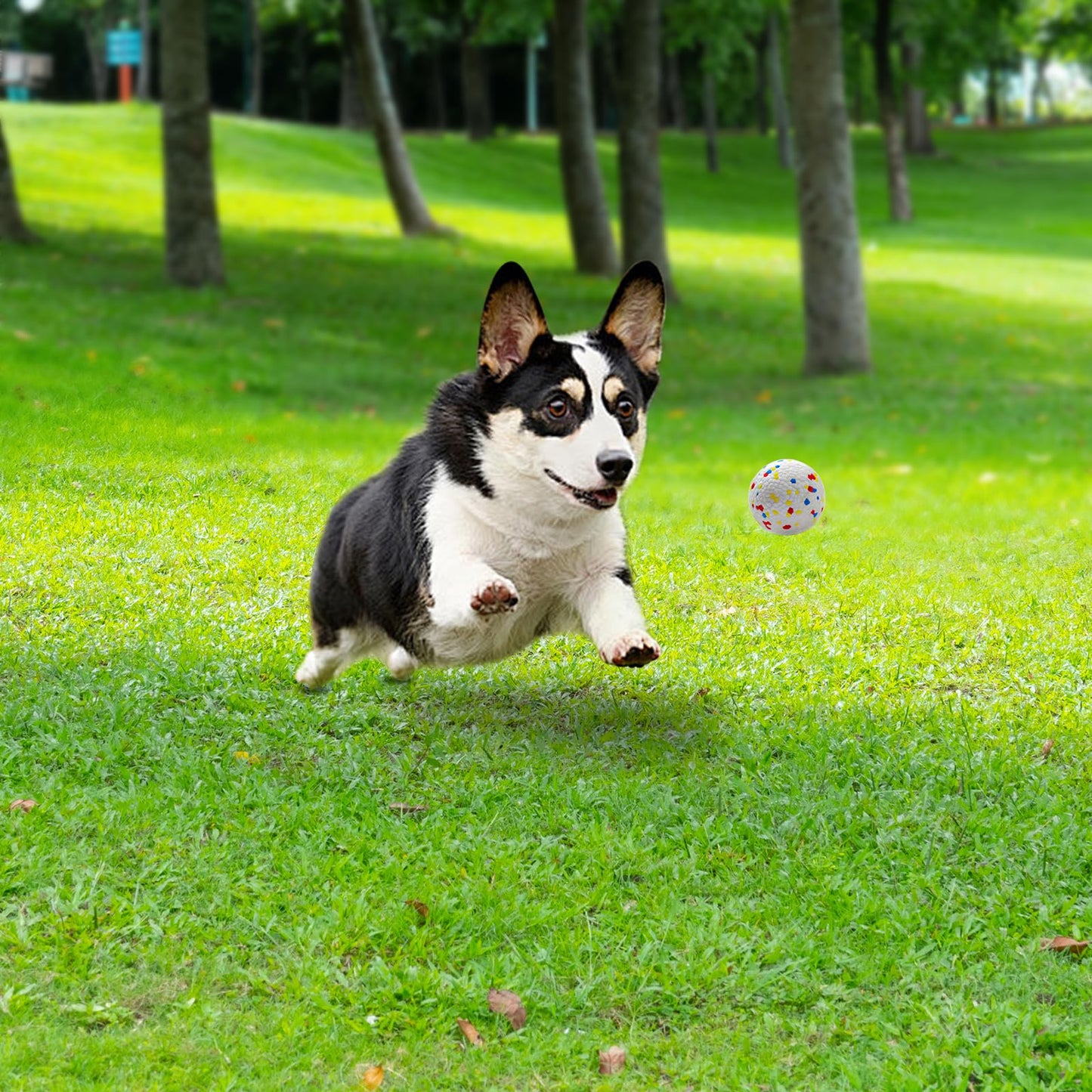 Toy Balls for Large and Medium Dogs