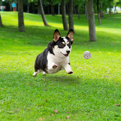 Toy Balls for Large and Medium Dogs