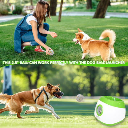 Toy Balls for Large and Medium Dogs